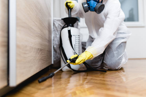 Best Emergency Pest Control  in Boonville, IN