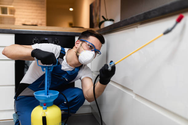 Best Pest Control Near Me  in Boonville, IN
