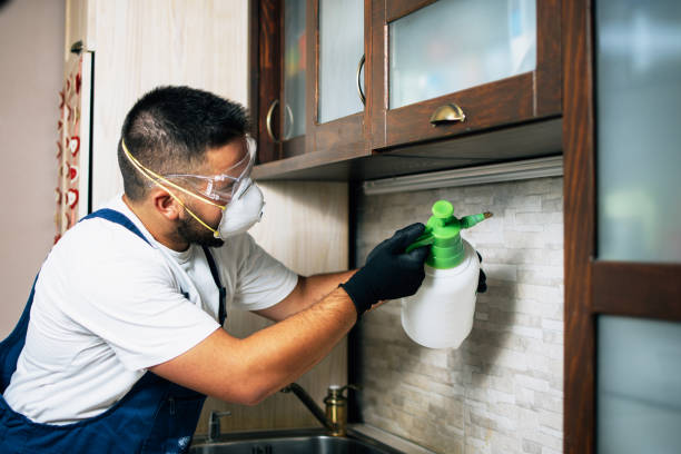 Best Exterminator Services  in Boonville, IN