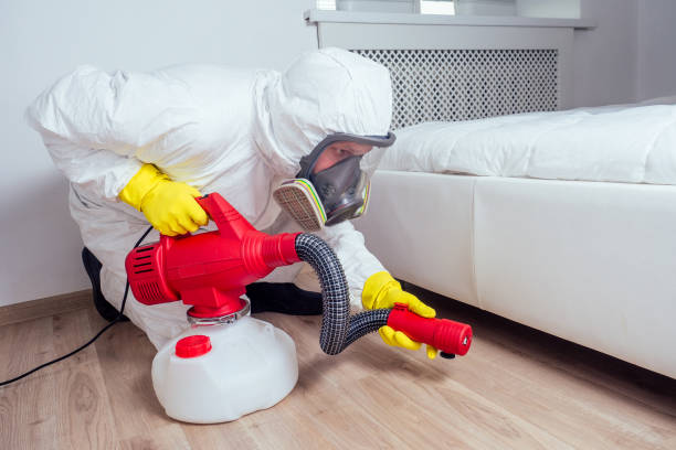 Best Flea Control Services  in Boonville, IN