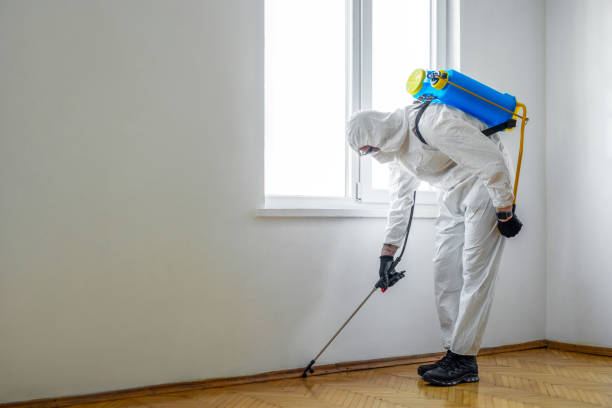 Professional Pest Control in Boonville, IN