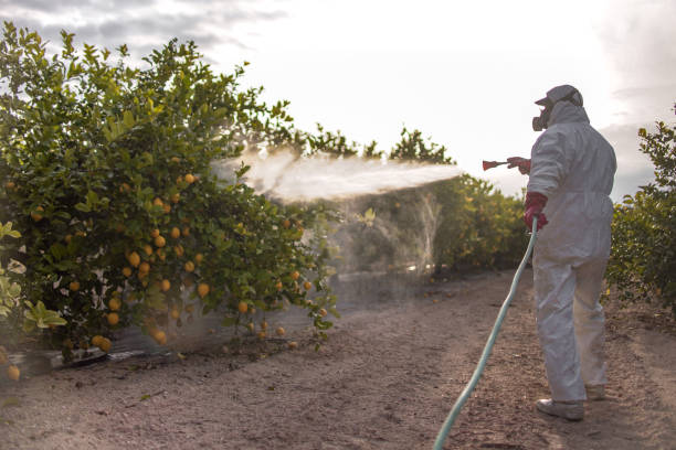 Best Termite Control Services  in Boonville, IN