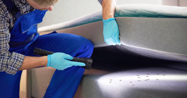 Best Pest Prevention Services  in Boonville, IN