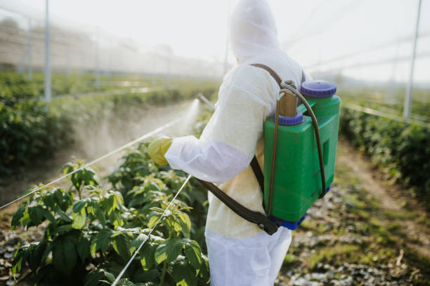 Best Ant Control Services  in Boonville, IN